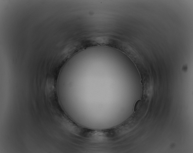X0000096650518200802121135