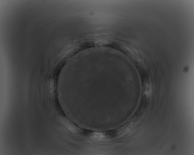 X0000096650519200802121135