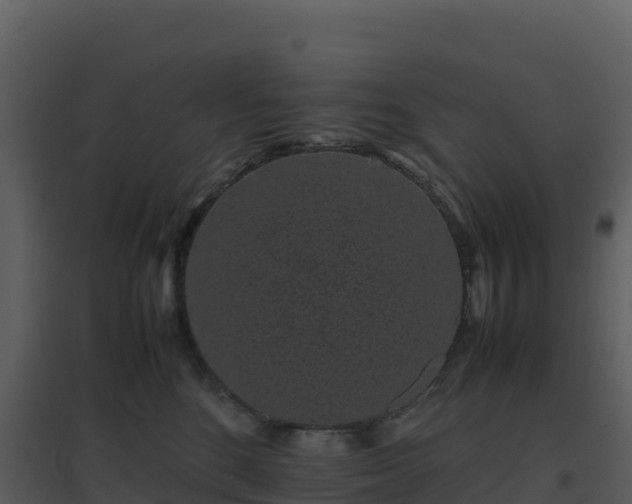 X0000096650520200802121135