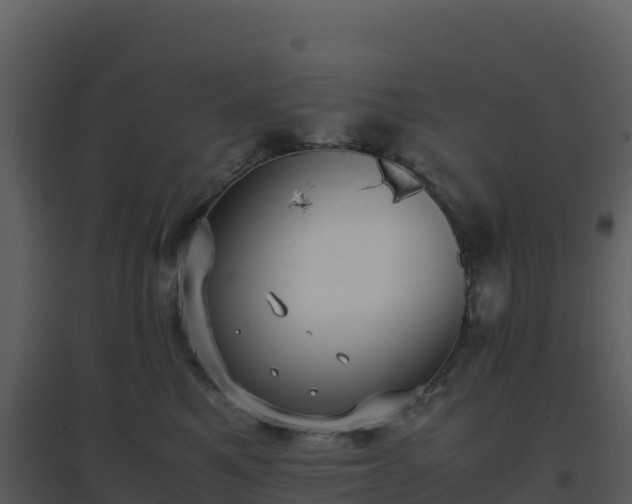 X0000096650521200802121135