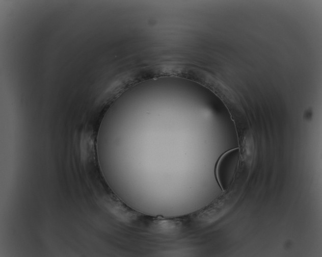 X0000096650522200802121135