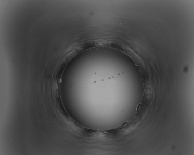 X0000096650523200802121135