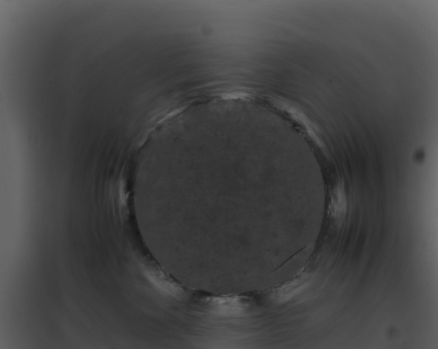 X0000096650524200802121135