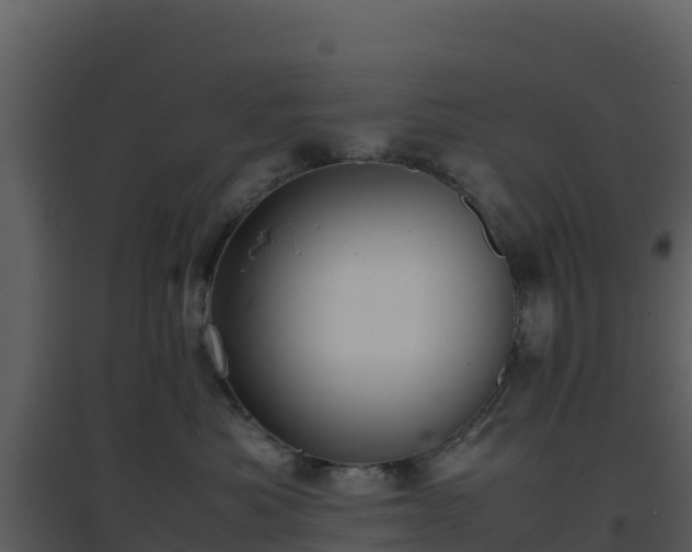 X0000096650525200802121135