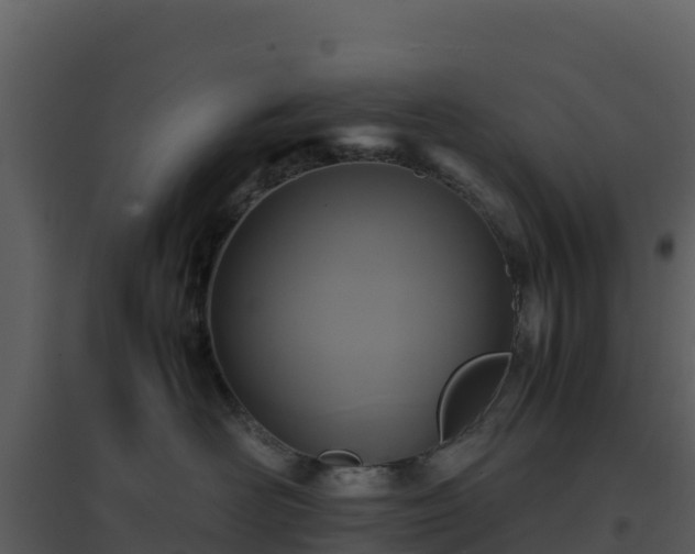 X0000096650526200802121135