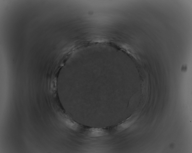 X0000096650528200802121135
