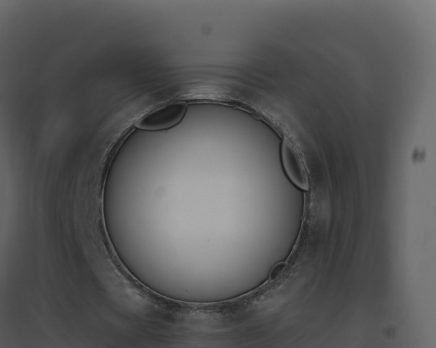 X0000096650529200802121134