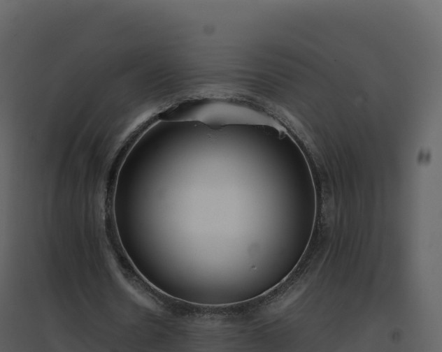X0000096650530200802121134