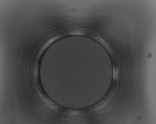 X0000096650531200802121134