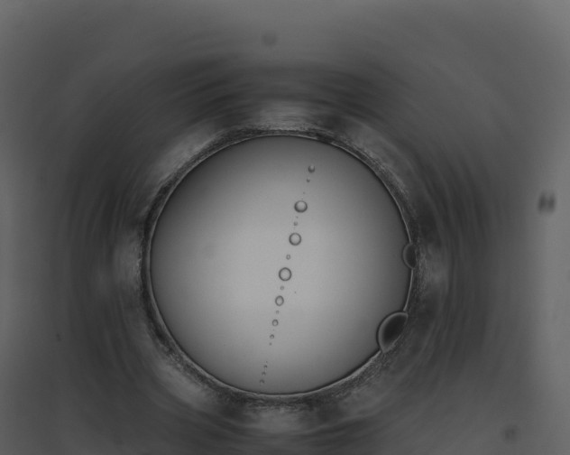 X0000096650533200802121134