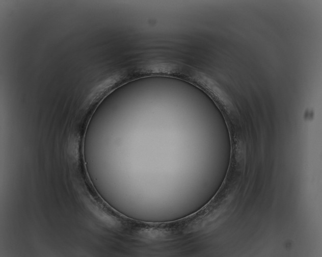 X0000096650537200802121134