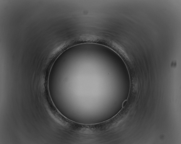 X0000096650538200802121134