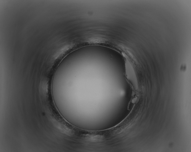 X0000096650539200802121134