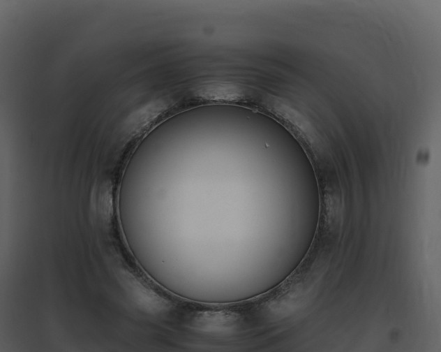 X0000096650541200802121134