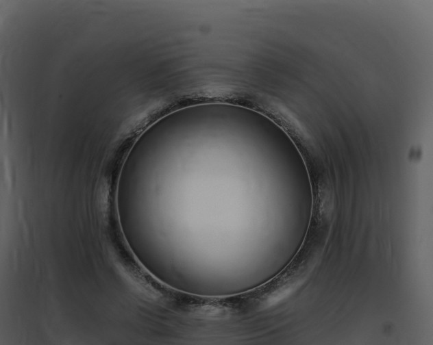X0000096650542200802121134