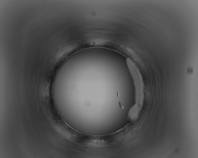 X0000096650543200802121135
