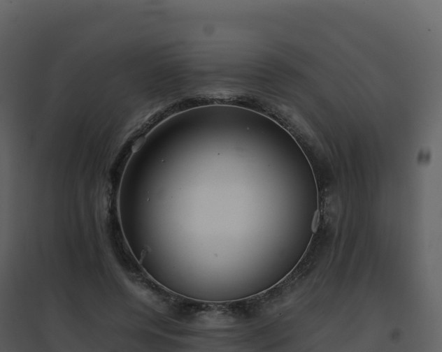 X0000096650544200802121135