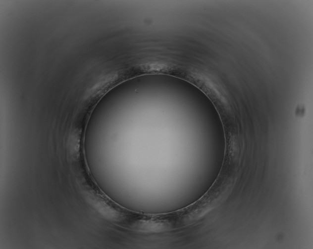 X0000096650545200802121135
