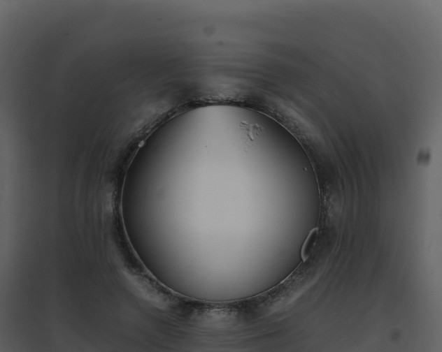 X0000096650546200802121135
