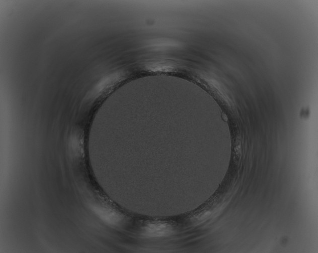 X0000096650547200802121135