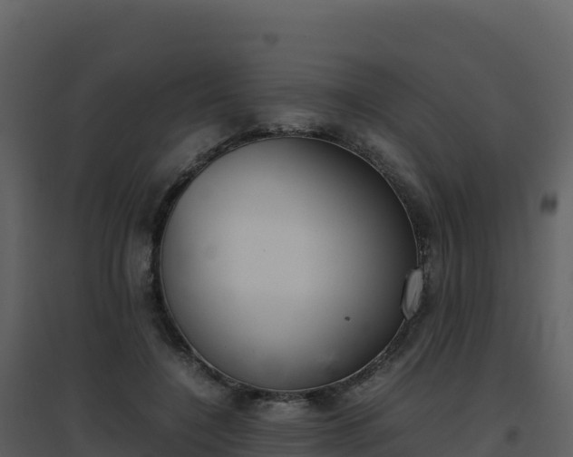 X0000096650548200802121135