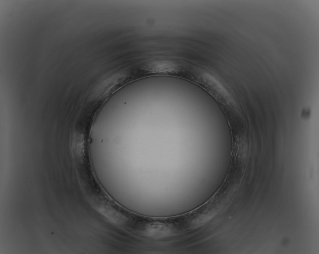 X0000096650549200802121135