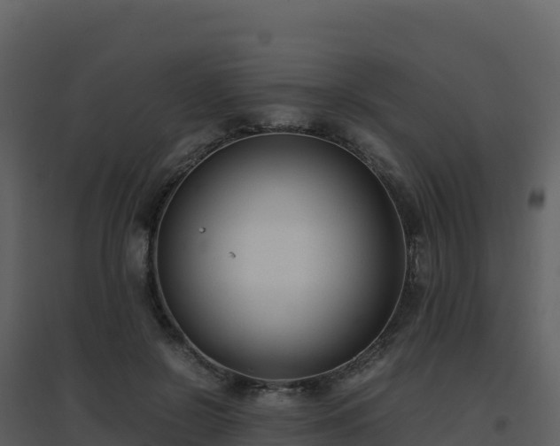 X0000096650550200802121135