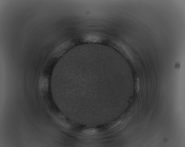 X0000096650551200802121135