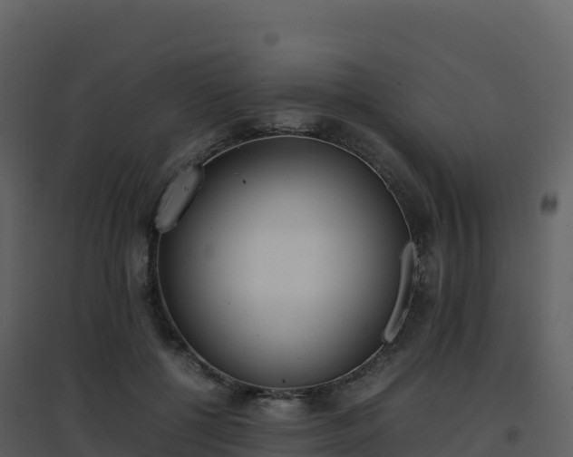 X0000096650552200802121135