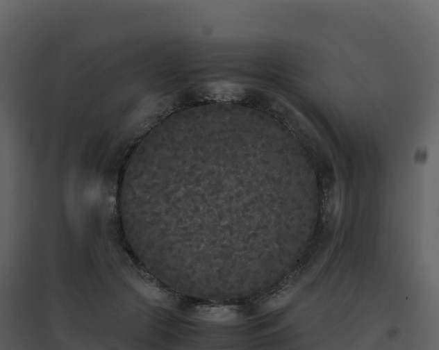 X0000096650553200802121135
