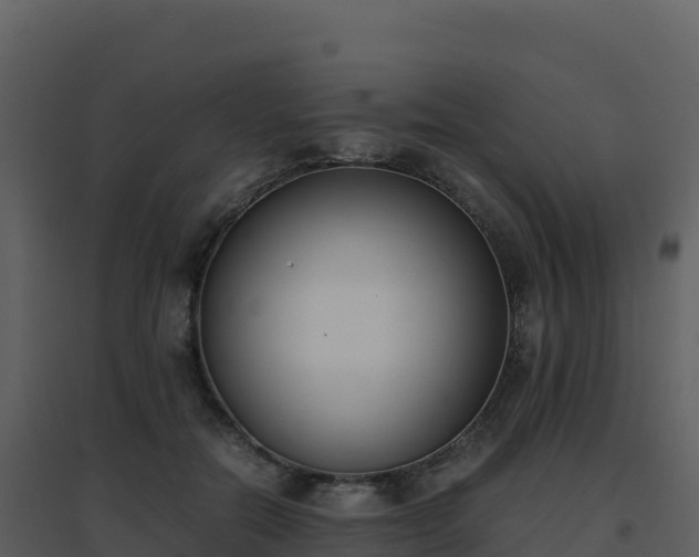 X0000096650554200802121135