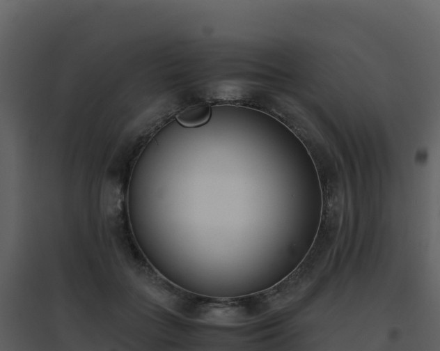 X0000096650555200802121135