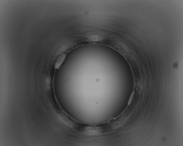 X0000096650556200802121135
