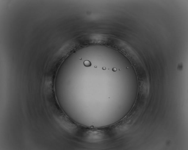 X0000096650557200802121135