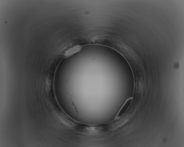 X0000096650558200802121135