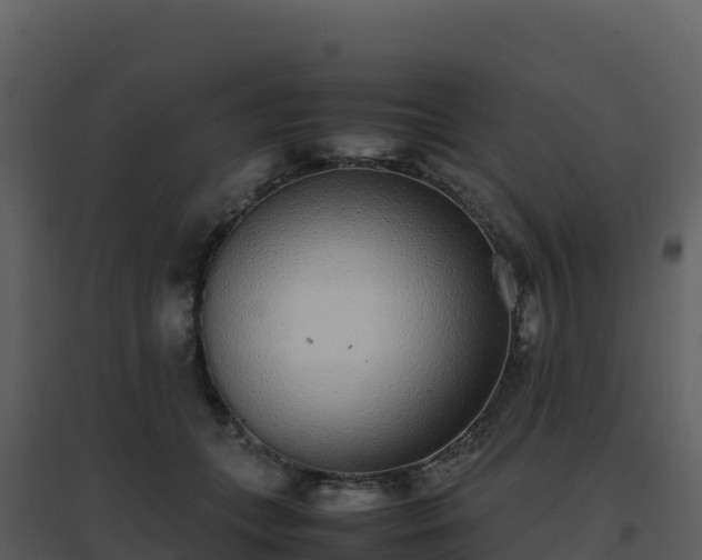 X0000096650559200802121135