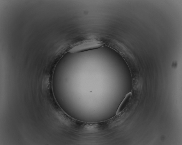 X0000096650560200802121135