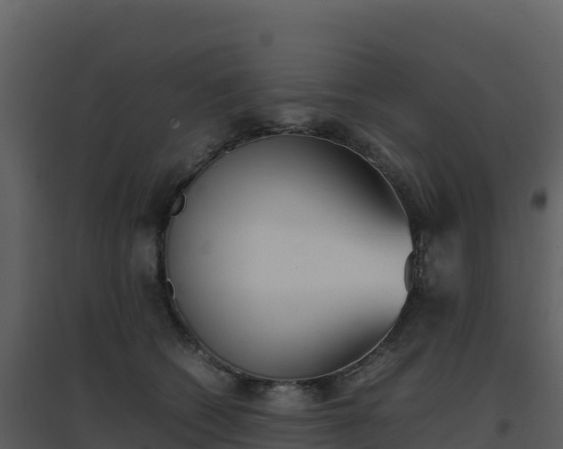 X0000096650562200802121135