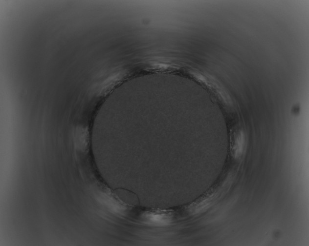 X0000096650563200802121135