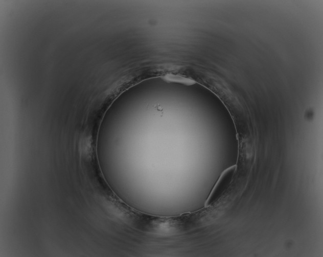 X0000096650564200802121135