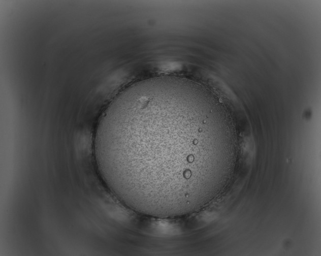 X0000096650565200802121135
