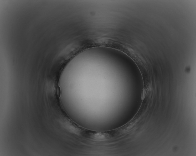 X0000096650566200802121135