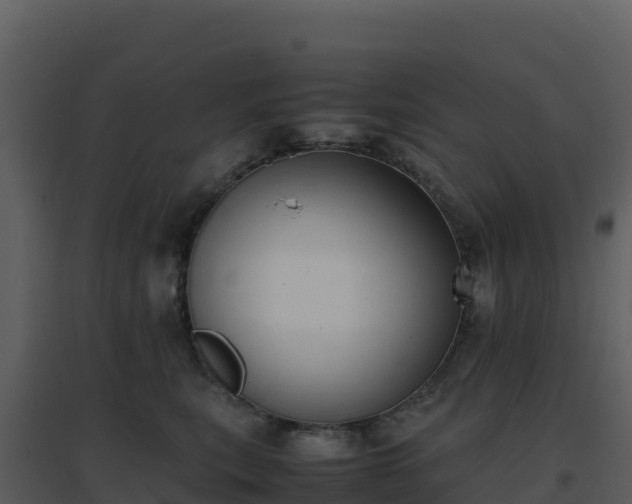 X0000096650567200802121135