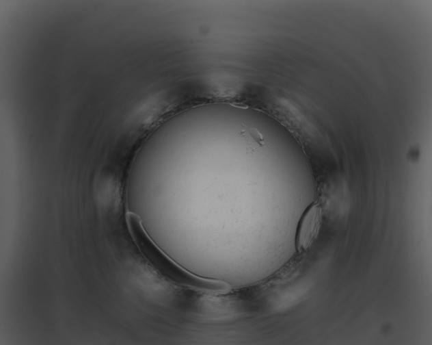 X0000096650568200802121135
