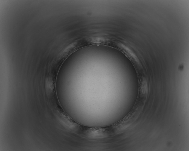 X0000096650569200802121135