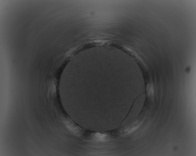 X0000096650570200802121135