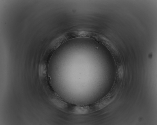 X0000096650571200802121135