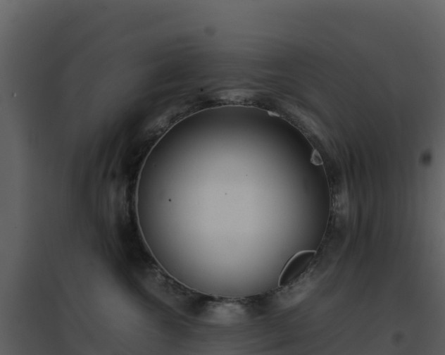 X0000096650572200802121135