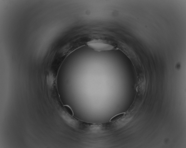 X0000096650574200802121135