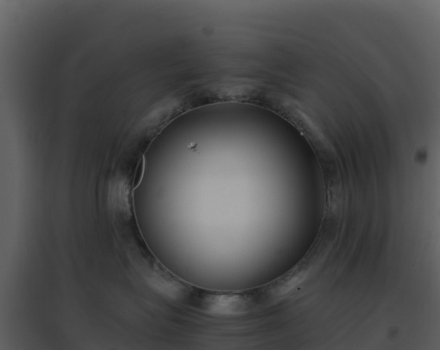 X0000096650575200802121135